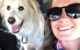 Fluffy white dog with female owner